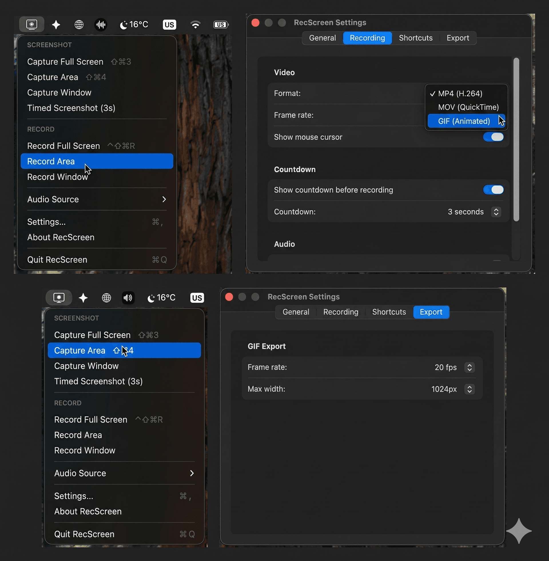 RecScreen screenshot 1