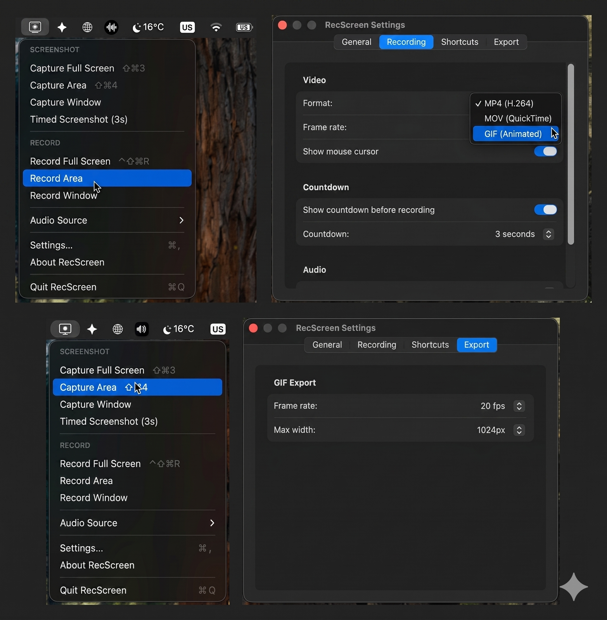 RecScreen screenshot 1